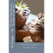 20 Chocolate Mousse Recipes to Die For: Chocolate Recipes to Die For