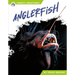 Anglerfish