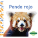 Panda Rojo (Red Pandas)