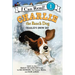 Charlie the Ranch Dog: Charlie's Snow Day