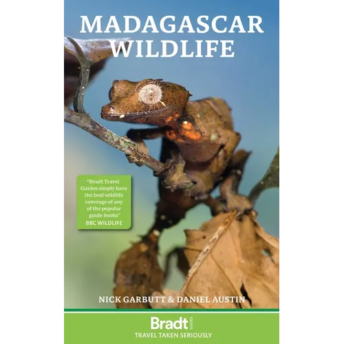 Madagascar Wildlife