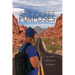 God Guided Purposes: The Journey Into Fulfilling Your Purpose