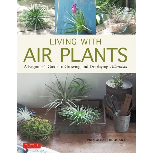 Living with Air Plants: A Beginner's Guide to Growing and Displaying Tillandsia