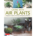 Living with Air Plants: A Beginner's Guide to Growing and Displaying Tillandsia