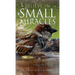 Believe in Small Miracles: Look for small miracles in your life.