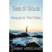 The Sea of Souls - Sequel to the Folks