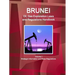 Brunei Oil, Gas Exploration Laws and Regulations Handbook Volume 1 Strategic Information and Basic Regulations