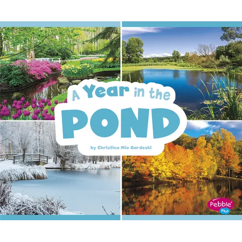 A Year in the Pond