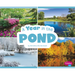 A Year in the Pond
