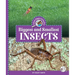 Biggest and Smallest Insects