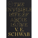 The Invisible Life of Addie Larue