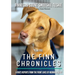 The Finn Chronicles: Year Five: A dog's reports from the front lines of hooman rescue