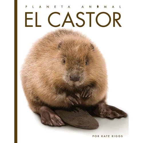 El Castor