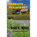 Beneath a Prairie Sky