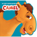 Camel: Animal Picture Book