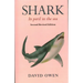 Shark: In peril in the sea