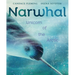 Narwhal: Unicorn of the Arctic