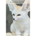Exotic Pets: 21 Exotic Animals You Didn't Know You Could Adopt as a Pet: (A variety of rare and cute species of reptiles, mammals,