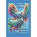 Beyond the Diagnosis: Finding Hope and Healing with Bipolar and Schizoaffective Disorder