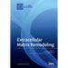 Extracellular Matrix Remodeling