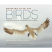 Bringing Back the Birds: Exploring Migration and Preserving Birdscapes Throughout the Americas