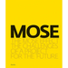 The Mose Effect: The Challenges of a Project for the Future