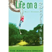 Life On A Shoestring: The American Dream