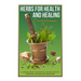 Herbs For Health and Healing