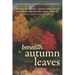 Beneath Autumn Leaves