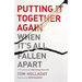 Putting It Together Again When It's All Fallen Apart: 7 Principles for Rebuilding Your Life