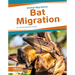 Bat Migration