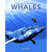 Whales: Amazing Pictures & Fun Facts on Animals in Nature