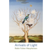 Arrivals of Light