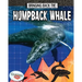 Bringing Back the Humpback Whale
