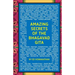 Amazing Secrets of the Bhagavad Gita: A Grandfather and Grandson Discuss Hinduism, Yoga, Reincarnation, and More