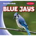 Blue Jays