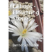 Lithops - Flowering Stones