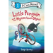 Little Penguin and the Mysterious Object