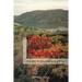 Paths Along the Hudson: A Guide to Walking and Biking