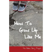 How To Grow Up Like Me: The Ballou Story Project