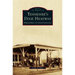 Tennessee's Dixie Highway: Springfield to Chattanooga