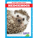 Hedgehogs