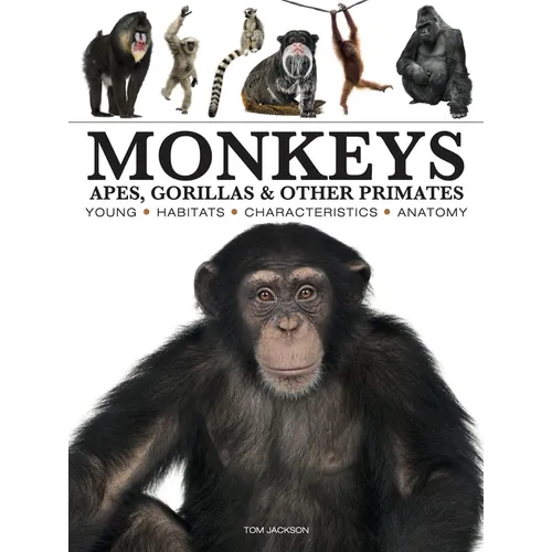 Monkeys: Apes, Gorillas and Other Primates