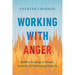 Working with Anger: Buddhist Teachings on Patience, Acceptance, and Transforming Negativity