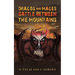 Dragos and Mages: Battle Between the Mountains