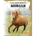 Morgan