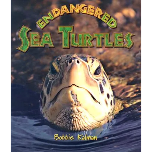 Endangered Sea Turtles