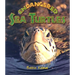 Endangered Sea Turtles