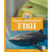 Biggest and Smallest Fish