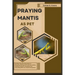 Praying Mantis as Pet: Detailed, Step-By-Step Guide To Choosing, Setting Up The Perfect Habitat, Feeding, Caring For, Breeding, And Interacti